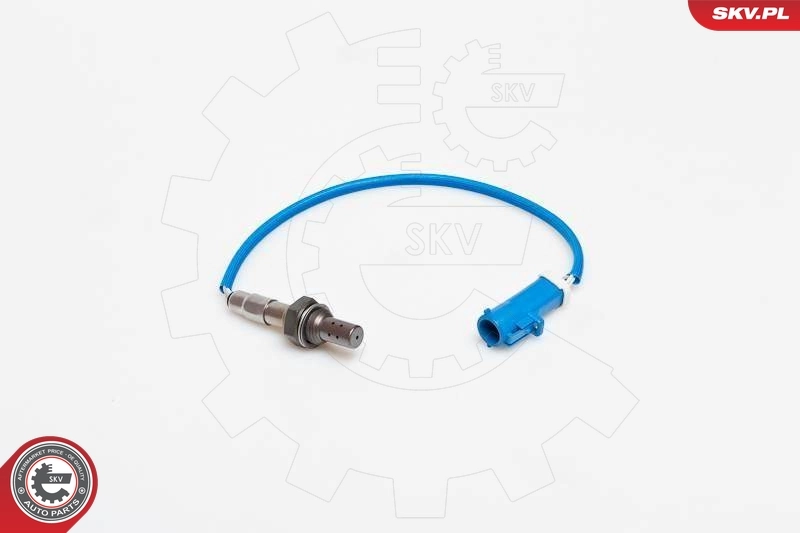 Oxygen Sensor